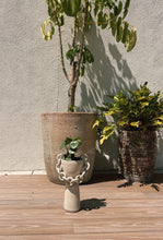 Load image into Gallery viewer, Grekko Planter

