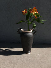 Load image into Gallery viewer, brakt vessel
