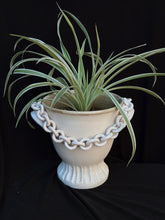 Load image into Gallery viewer, rosa vase
