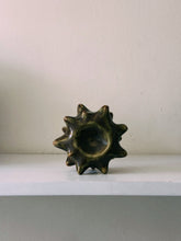 Load image into Gallery viewer, spiny

