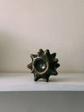 Load image into Gallery viewer, spiny
