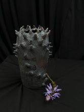Load image into Gallery viewer, volos vase
