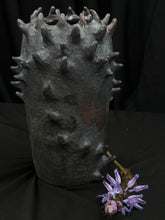 Load image into Gallery viewer, volos vase
