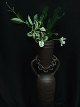 Load image into Gallery viewer, selene vase

